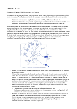 Tema 7-Calcio.pdf