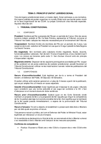 tema-5-processal-practic.pdf