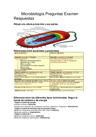 Microbiología Preguntas Examen Respuestas.pdf