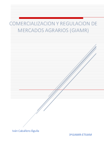 COMERCIALIZACION-y-REGULACION-de-mercados-agrarios-Recuperado-automaticamente.pdf