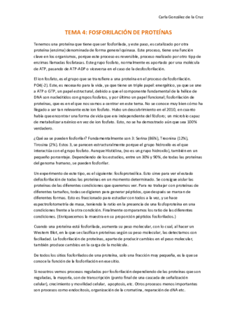TEMA-4-Re.pdf