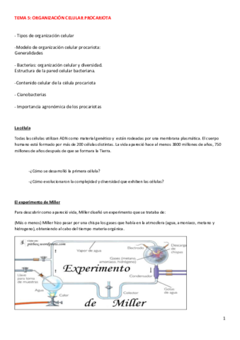 Tema-5-Organizacion-celular-procariota.pdf