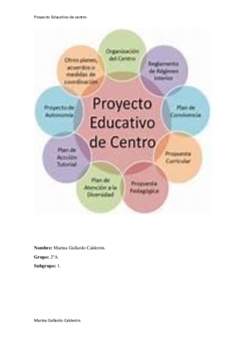 Proyecto-Educativo-II-ensayo.pdf