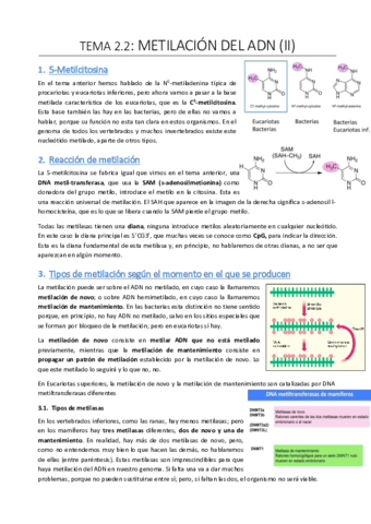 Tema-2.pdf