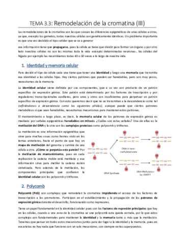 Tema-3.pdf