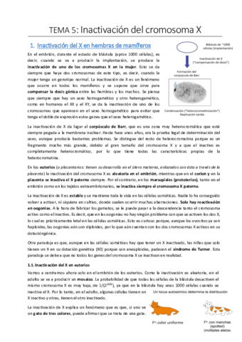 Tema-5.pdf