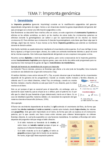 Tema-6.pdf
