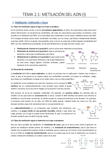 Tema-2.pdf