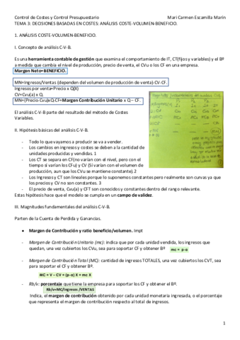 TEMA-3-DECISIONES-BASADAS-EN-COSTES.pdf