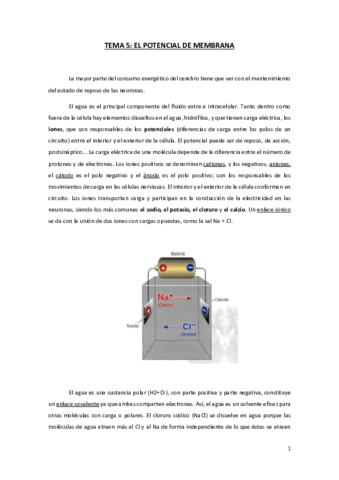 TEMA-5-FN.pdf