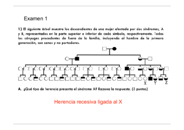 EXAMEN PARCIAL 1-2 + SOLUCIONES (1).pdf