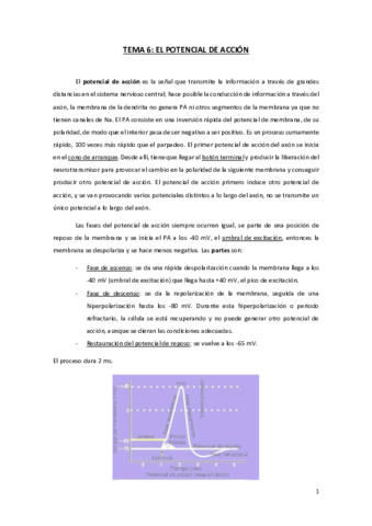 TEMA-6-FN.pdf