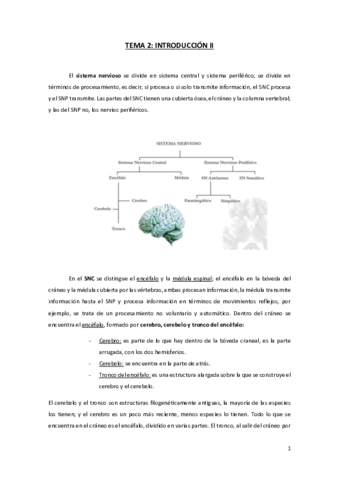 TEMA-2-FN.pdf