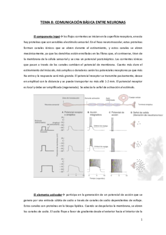 TEMA-8-FN.pdf