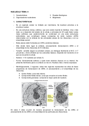 BIOLOGIA-TEMA-8.pdf