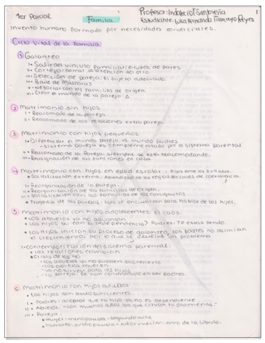 DinamicasFamiliares-y-de-Pareja.pdf