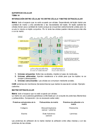 BIOLOGIA-TEMA-14.pdf