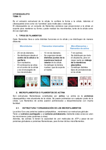 BIOLOGIA-TEMA-13.pdf