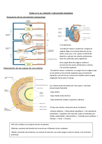 Temas-12-16-Sistema-circulatorio.pdf