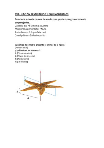 Evaluación seminario 11 Equinodermos