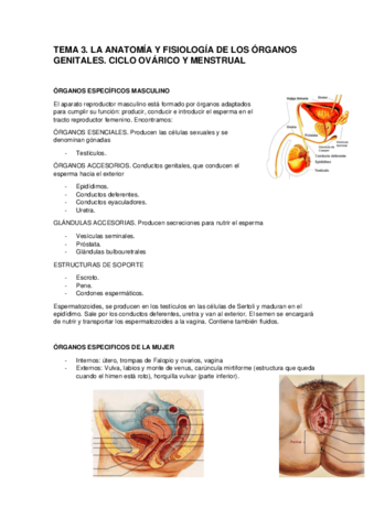 TEMA-3.pdf