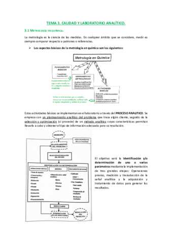 TEMA-3.pdf