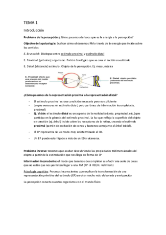TEMA-1-PERCEPCION-historia.pdf