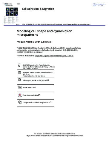 Modeling-cell-shape-and-dynamics-on-micropatterns.pdf