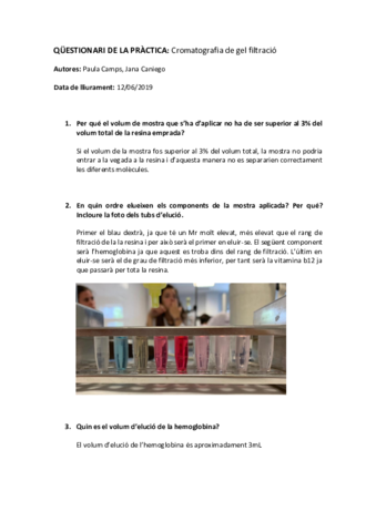 Questionari-practica-gel-filtracio.pdf