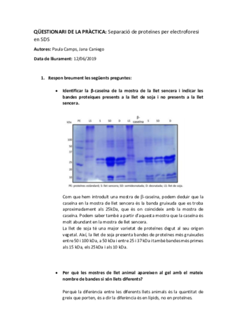 Questionari-practica-electroforesi-SDS.pdf