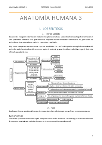 LOS-SENTIDOS.pdf