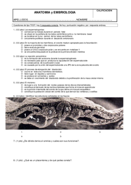 Muestra examen teoría.pdf