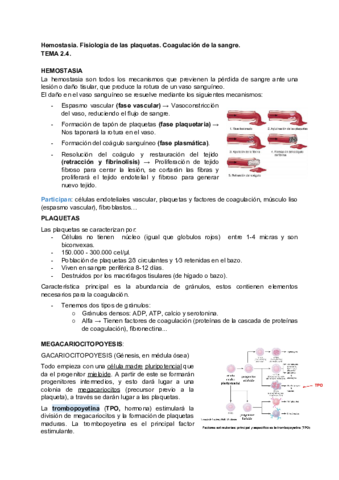 FISIOLOGIA-2.pdf