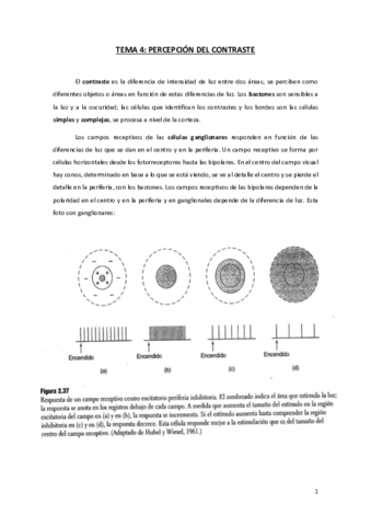 TEMA-4-AP.pdf