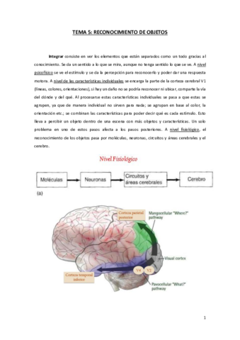 TEMA-5-AP.pdf