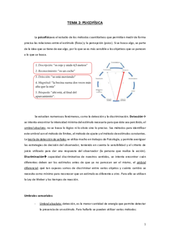 TEMA-2-AP.pdf