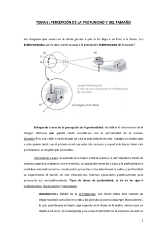 TEMA-6-AP.pdf