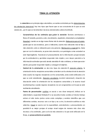 TEMA-13.pdf