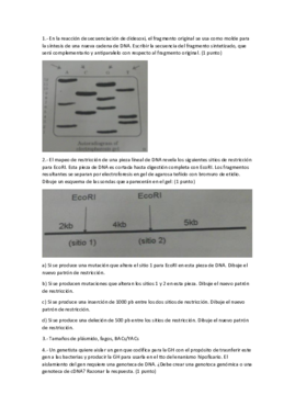 EXAMEN - 1ER PARCIAL (1).pdf