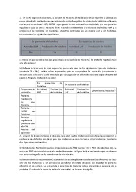 EXAMEN - 2º PARCIAL (1).pdf