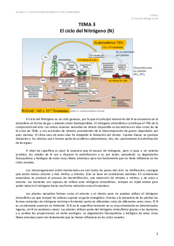 Tema 3 - El ciclo del N.pdf