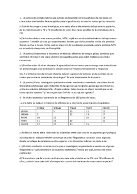 EXAMEN - 3er PARCIAL (1).pdf