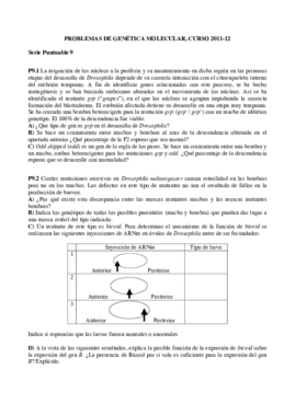 Serie P9 + SOLUCIÓN (1).pdf