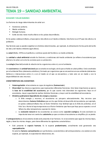 SP-TEMA-19.pdf