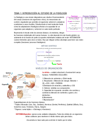 TEMA-1.pdf