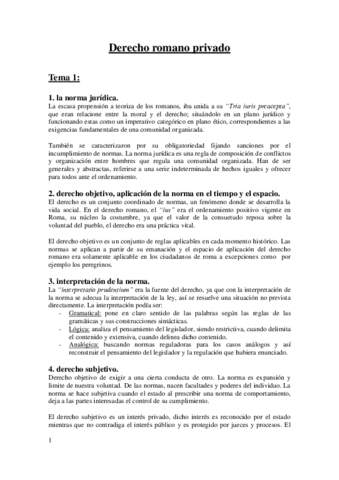 0romanoprivadoentero.doc.pdf