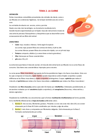 TEMA-2.pdf