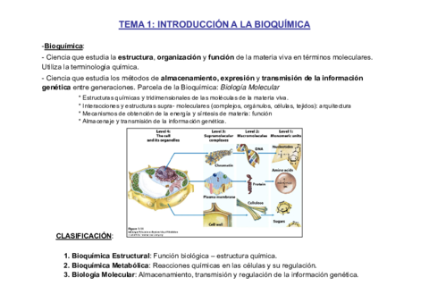 T1-BQ-Fisio-2019-20.pdf