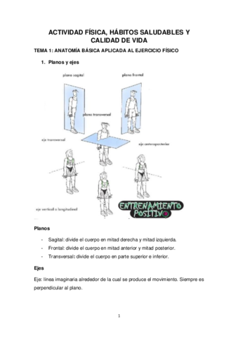 ACTIVIDAD-FISICA.pdf