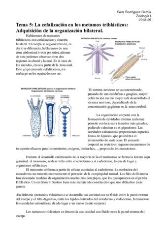 Zoologia-Tema-5-.pdf